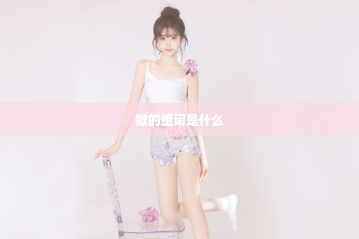 掀的组词是什么