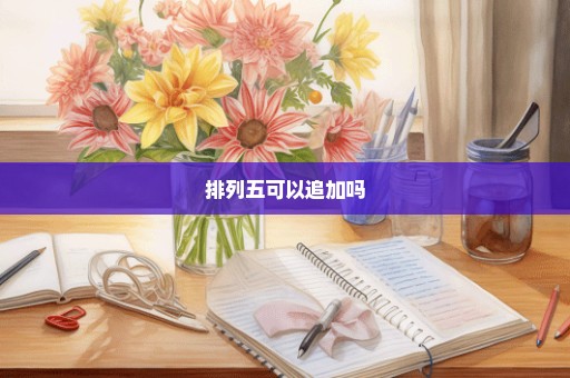 排列五可以追加吗