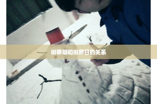 排卵期和排卵日的关系