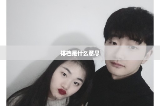 排档是什么意思