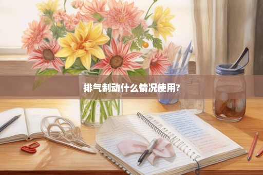 排气制动什么情况使用?