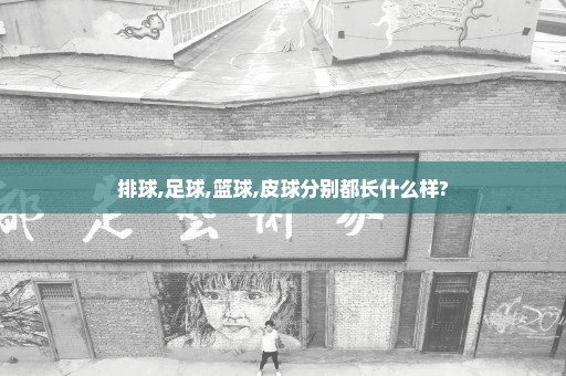 排球,足球,篮球,皮球分别都长什么样?