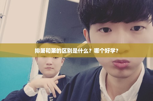 排箫和萧的区别是什么？哪个好学？