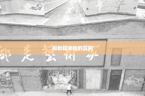 排粉和米粉的区别
