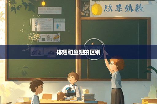 排翅和鱼翅的区别