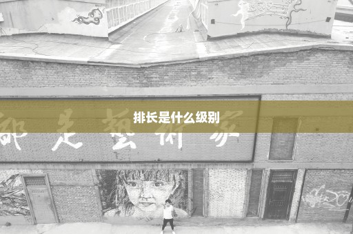 排长是什么级别