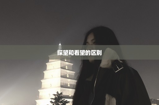 探望和看望的区别