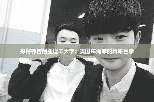 探秘弗吉尼亚理工大学：美国东海岸的科研巨擘