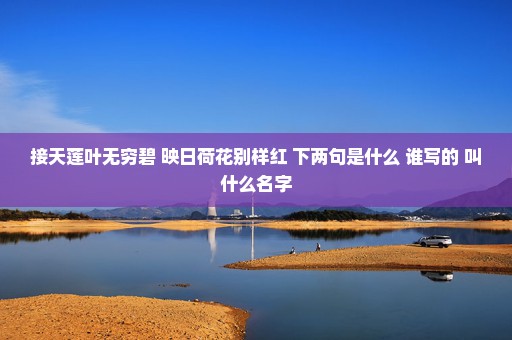 接天莲叶无穷碧 映日荷花别样红 下两句是什么 谁写的 叫什么名字