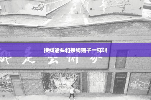 接线端头和接线端子一样吗