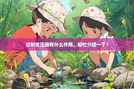控制变压器有什么作用，帮忙介绍一下？
