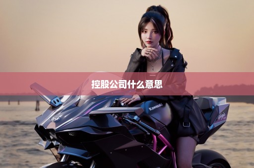 控股公司什么意思