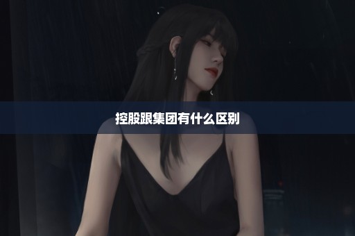 控股跟集团有什么区别