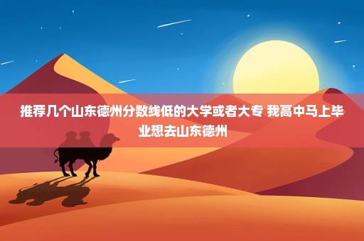 推荐几个山东德州分数线低的大学或者大专 我高中马上毕业想去山东德州