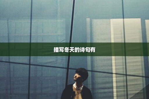 描写冬天的诗句有