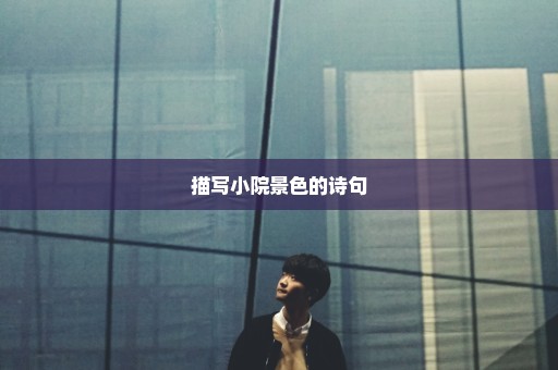 描写小院景色的诗句