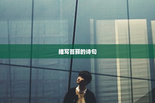 描写苔藓的诗句