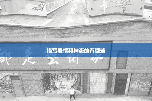 描写表情和神态的有哪些