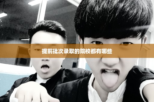 提前批次录取的院校都有哪些