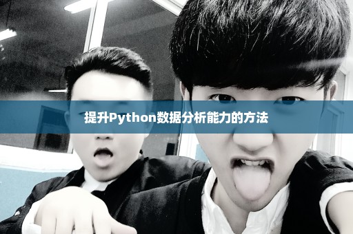 提升Python数据分析能力的方法