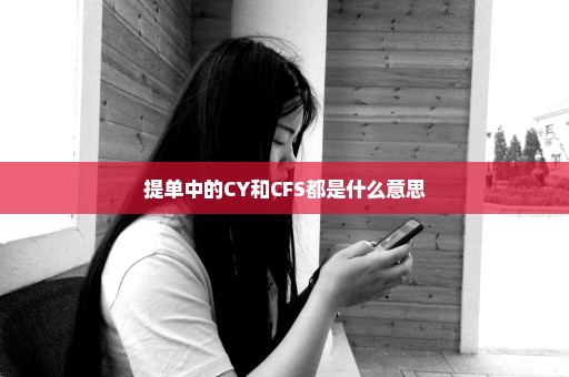 提单中的CY和CFS都是什么意思