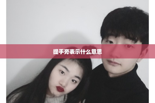 提手旁表示什么意思