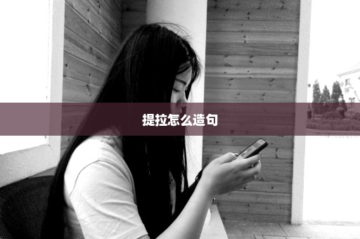 提拉怎么造句