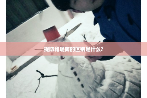 提防和堤防的区别是什么?