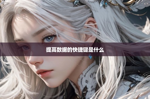 提高数据的快捷键是什么