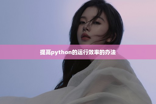 提高python的运行效率的办法