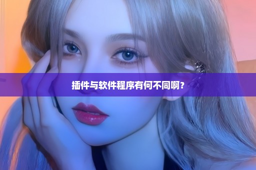 插件与软件程序有何不同啊？