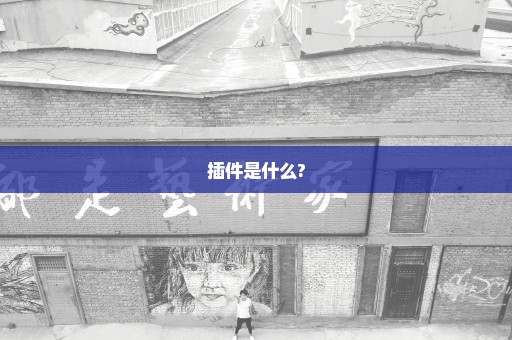 插件是什么?