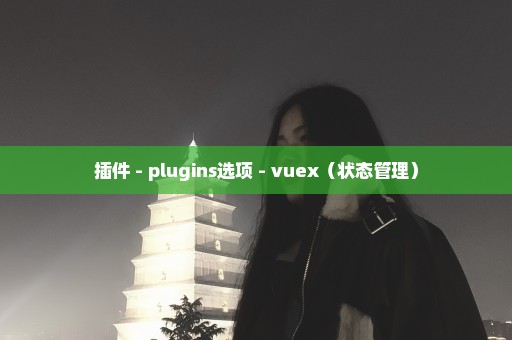 插件 - plugins选项 - vuex（状态管理）