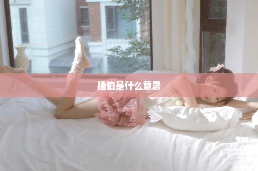 插值是什么意思