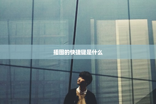 插图的快捷键是什么