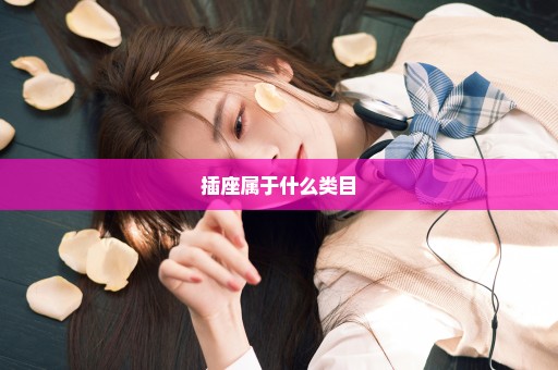 插座属于什么类目