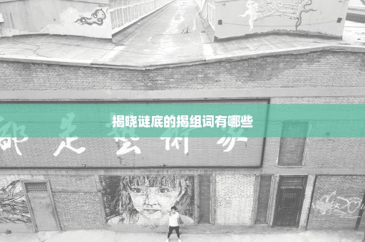 揭晓谜底的揭组词有哪些
