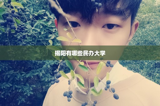 揭阳有哪些民办大学