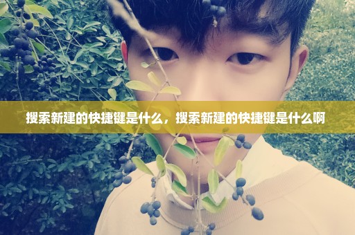搜索新建的快捷键是什么，搜索新建的快捷键是什么啊 