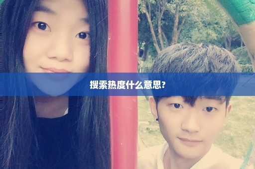搜索热度什么意思?