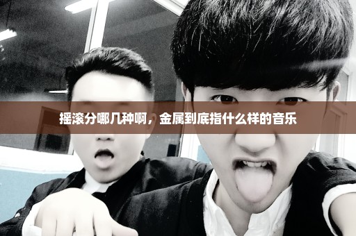 摇滚分哪几种啊，金属到底指什么样的音乐