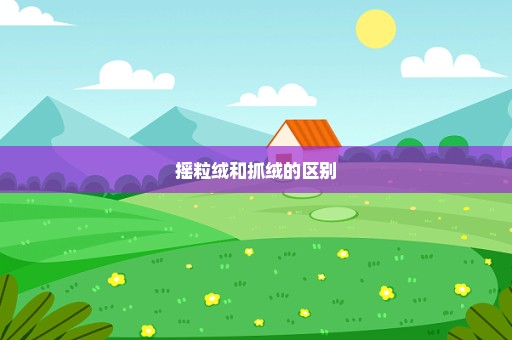 摇粒绒和抓绒的区别