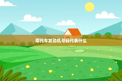 摩托车发动机号码代表什么