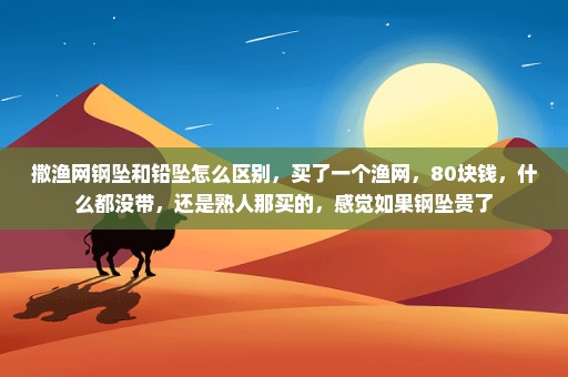撒渔网钢坠和铅坠怎么区别，买了一个渔网，80块钱，什么都没带，还是熟人那买的，感觉如果钢坠贵了