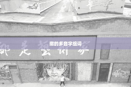 撒的多音字组词