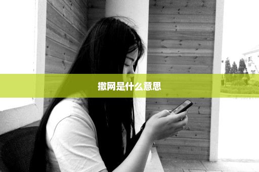 撒网是什么意思