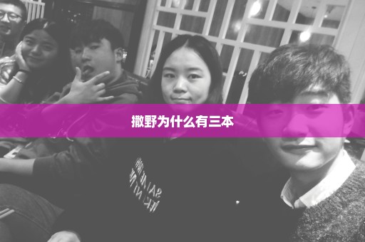 撒野为什么有三本