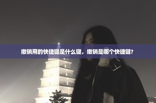 撤销用的快捷键是什么键，撤销是哪个快捷键? 