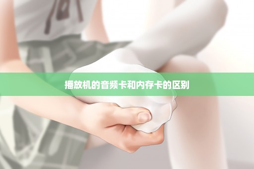 播放机的音频卡和内存卡的区别