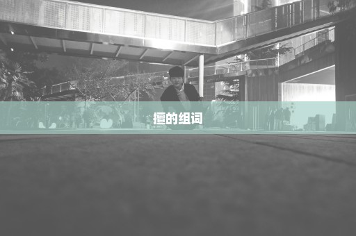 擅的组词